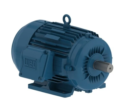 MOTOR CA TRIFÁSICO 2P 1,10KW 3600RPM IP55 W22 IR3 PREMIUM 11800168