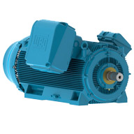 MOTOR INDUÇÃO TRIFÁSICO 1350CV 6600V 500A 113,2A 896 1/MIN 60HZ IPW55 HGF