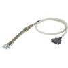 CABO SETPOINT 1M SINAMICS V90/CONTROL 6SL32604NA001VB0