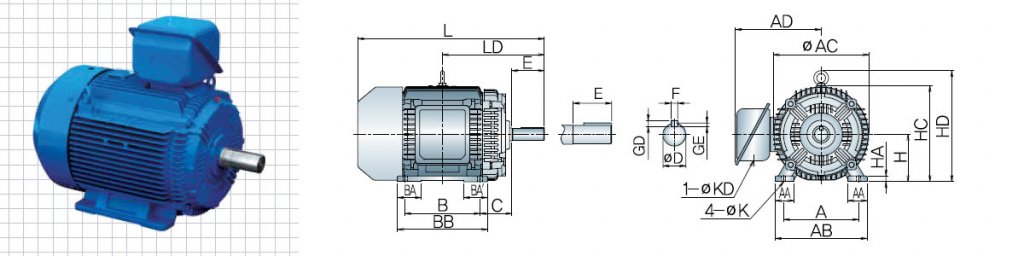 MOTOR CA 30KW 52A 440V 1780RPM 4P 60HZ IP55 TEFC PT304