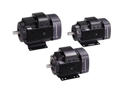 MOTOR CA TRIFÁSICO 3480-3510RPM 2P 3,7KW 14,2-14,0/7,0A  208-230YY/460YV 60HZ 182TC IP55 85900713